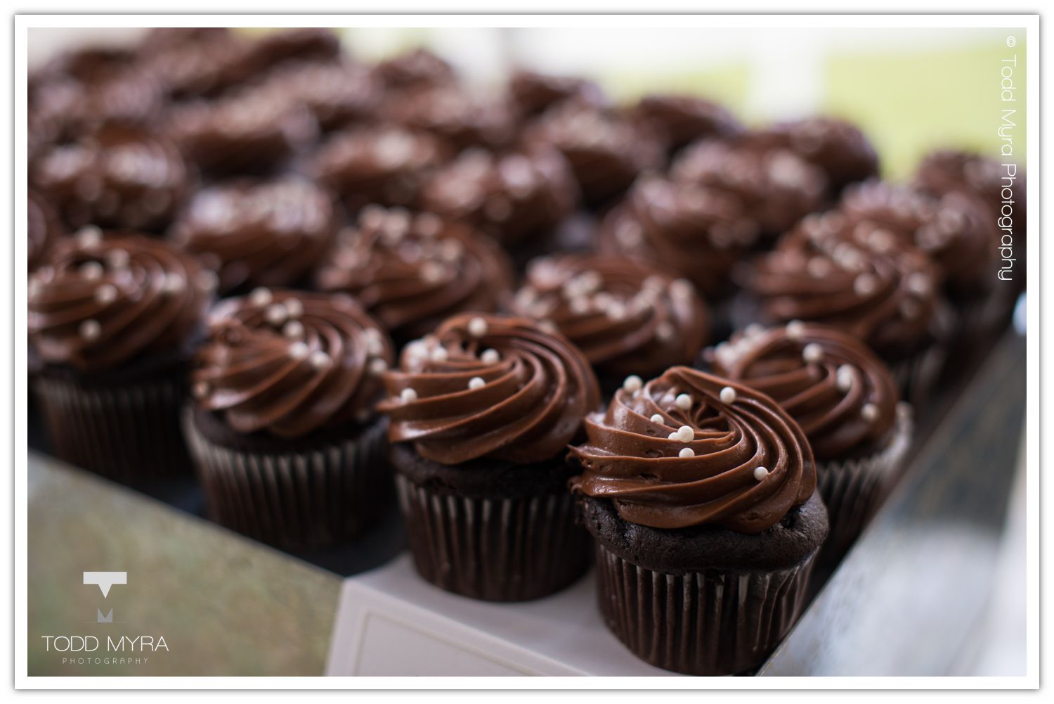 Philip-Cindy-St. Cloud-Wedding-Photography-Geyer-backyard-wedding-tent (20)