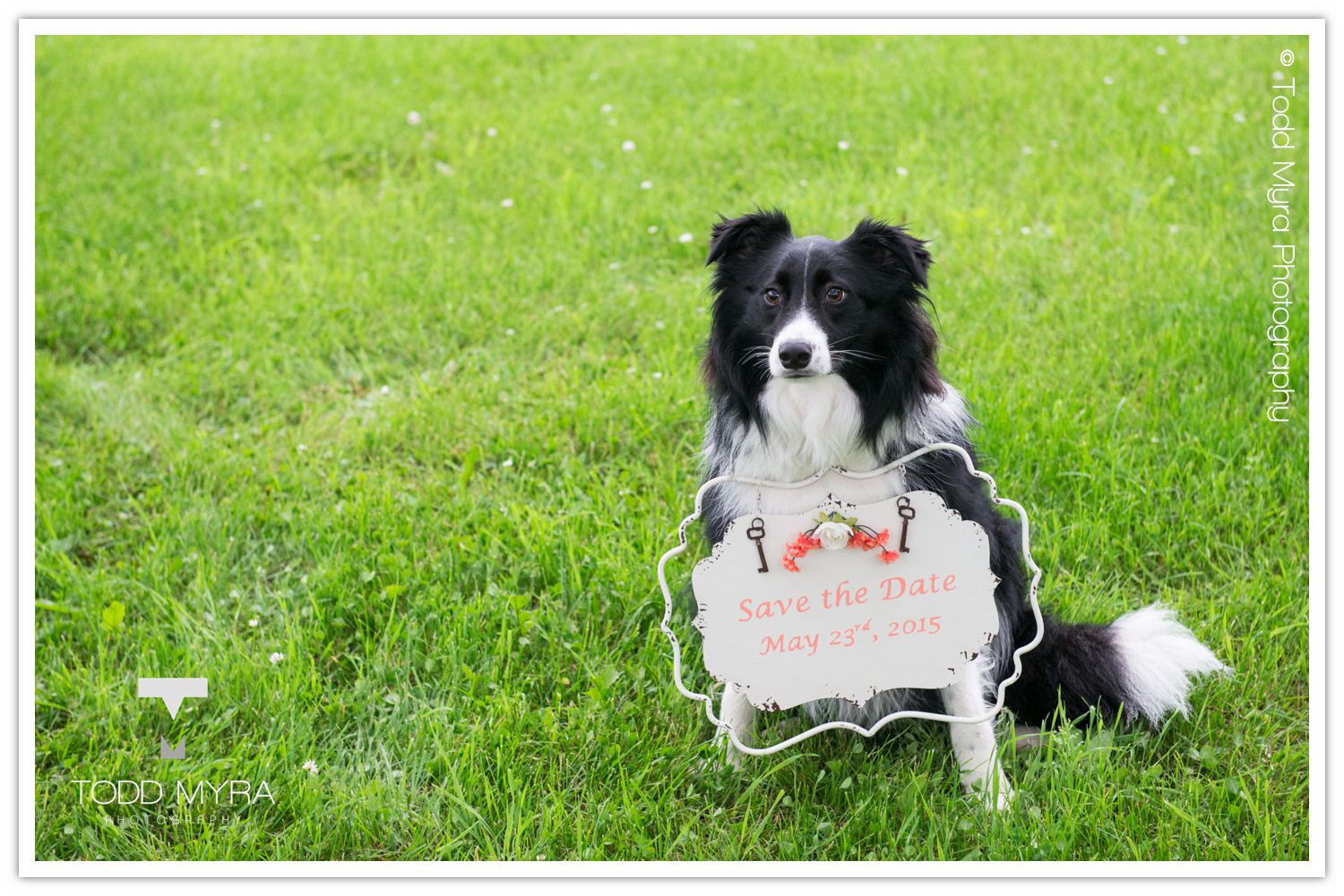 Engagement-Couple-Rum-River Barn-andVineyard-Dog-save-the-date-rainbow (11)