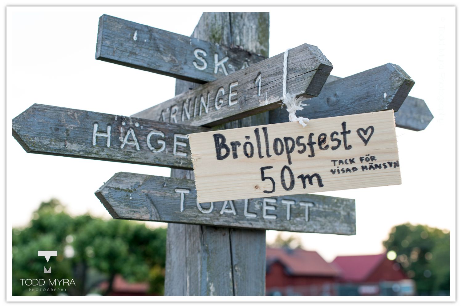 Swedish-Sweden-Stockholm-Wedding-bride-in-woods (29)