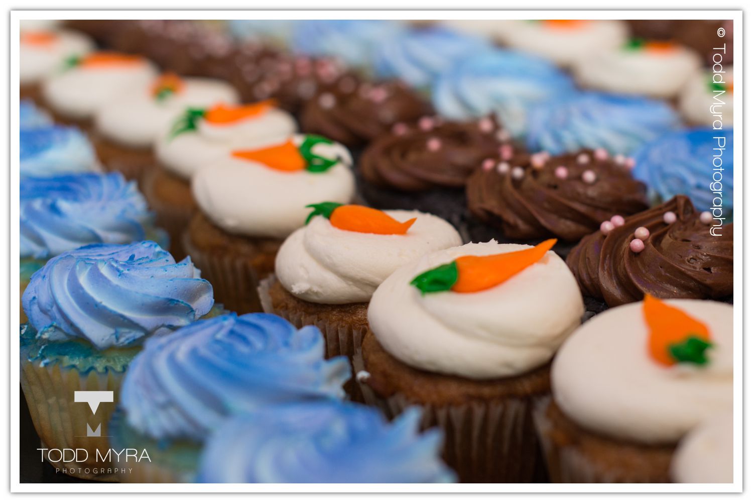 St. Cloud-Wedding-Photography Sunset-Bride (21)