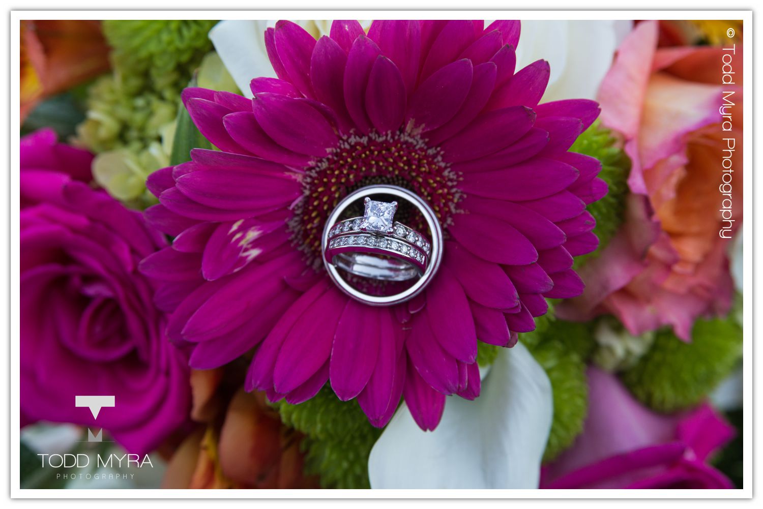 St. Cloud-Wedding-Photography Sunset-Bride (23)