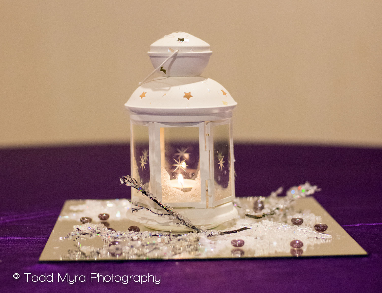 St-Cloud-Wedding-dress-bloomington-covenant-snow-kiss (12)