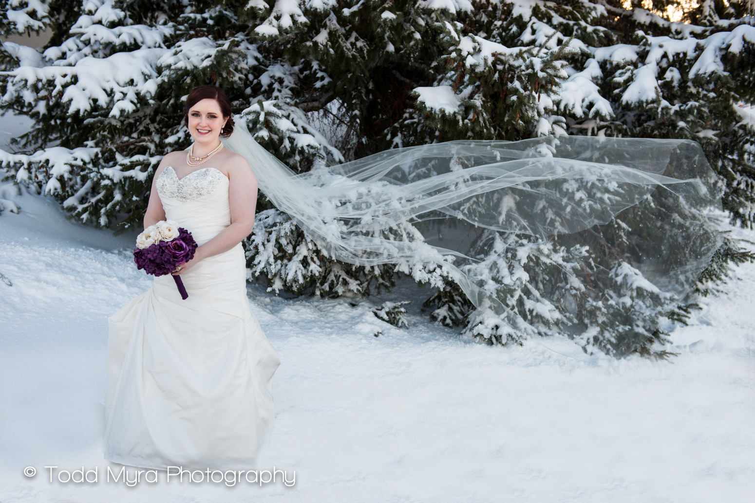 St-Cloud-Wedding-dress-bloomington-covenant-snow-kiss (13)
