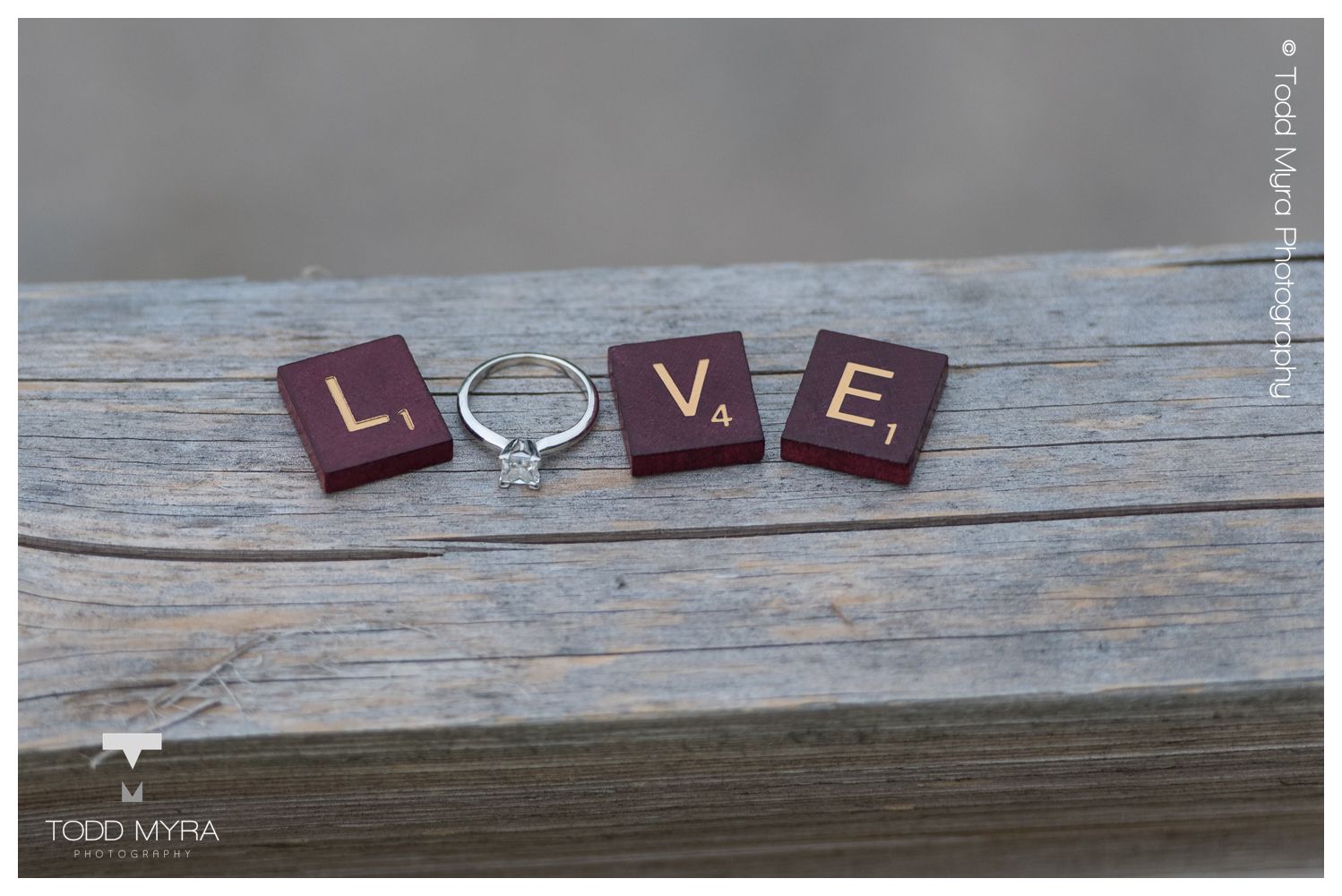 10_Bend-in-the-river-regional-park-engagement-pictures-st-cloud-minnesota