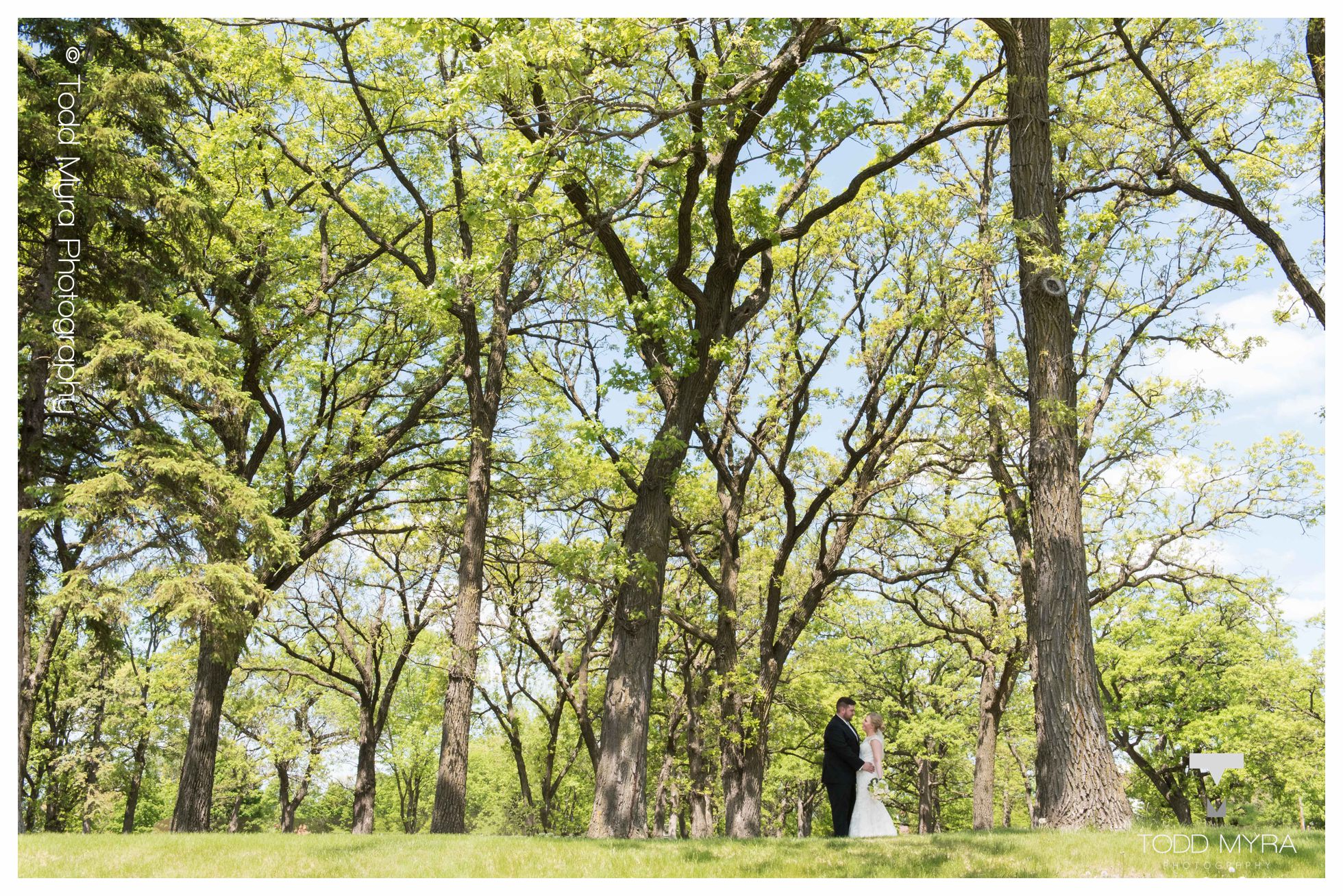 12 -St-Cloud-wedding-photography-holliday-inn-st-pauls-church-todd-myra-photography