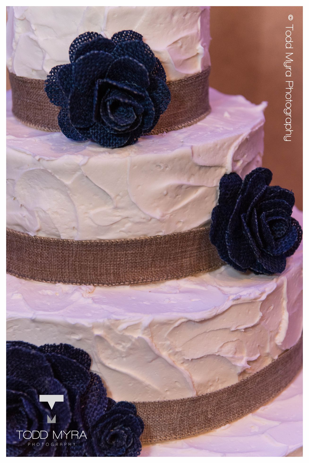 28 -St-Cloud-wedding-photography-holliday-inn-st-pauls-church-todd-myra-photography