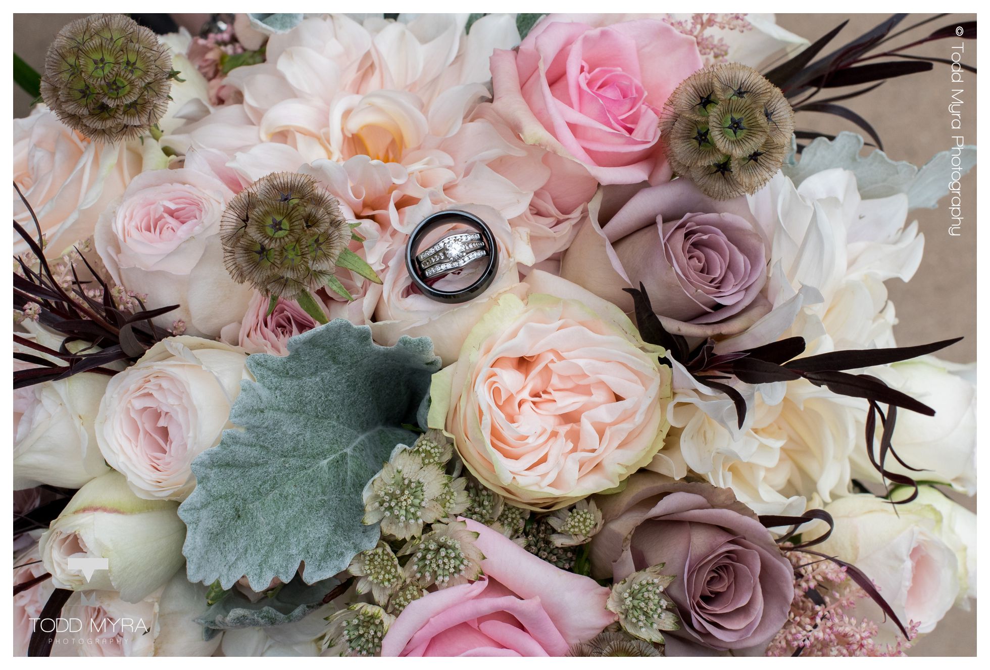 6-st-cloud-wedding-photography-grands-autumn-blake