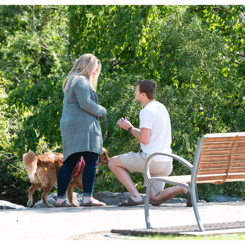 proposal pictures st cloud minnesota wedding engagement zach sophia
