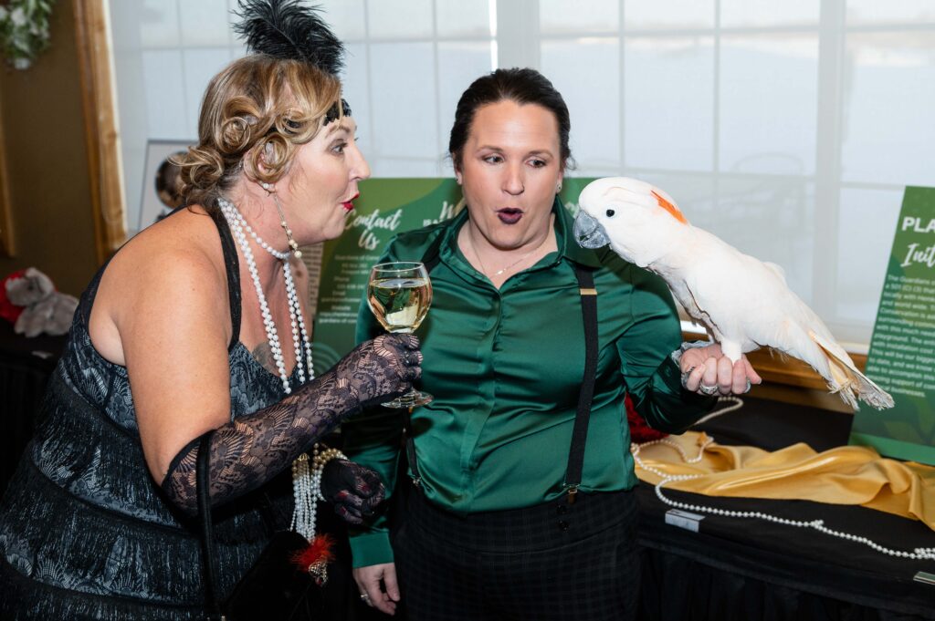 St Cloud Fundraiser Phography Zoo Animals 13