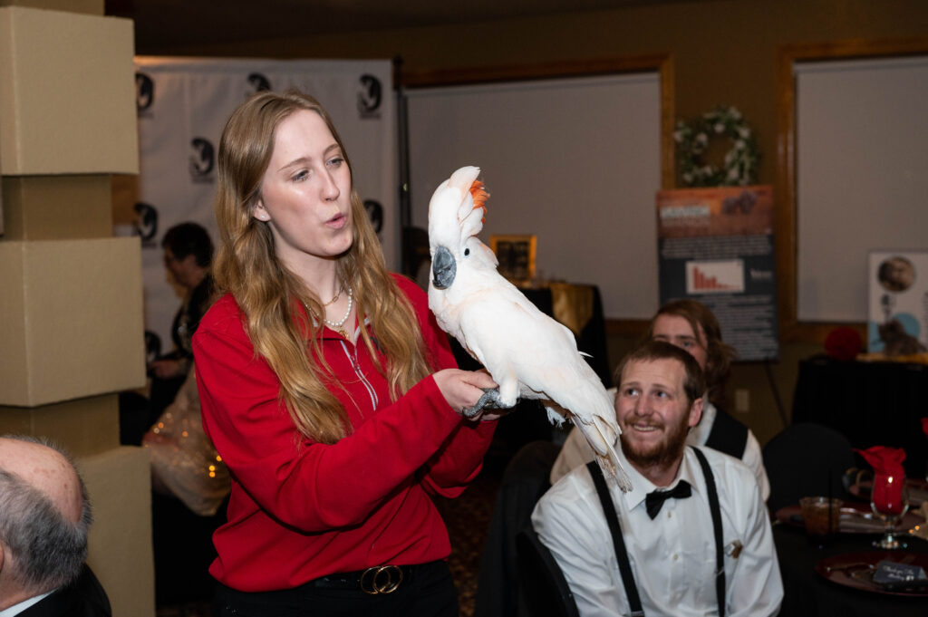 St Cloud Fundraiser Phography Zoo Animals 21